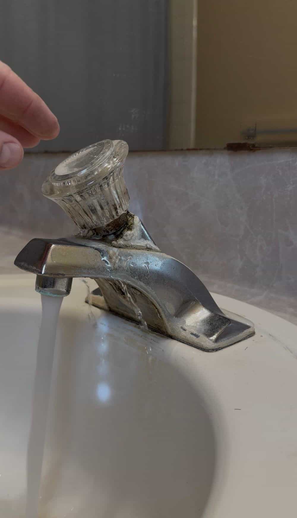 Hero image for Whiskers & Sons Inc.